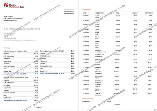 Pakistan Mobilink Microfinance Bank statement of account Word and PDF template, 2 pages, version 2